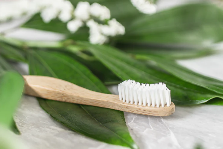 Healthy Alternatives to Bamboo Toothbrushes