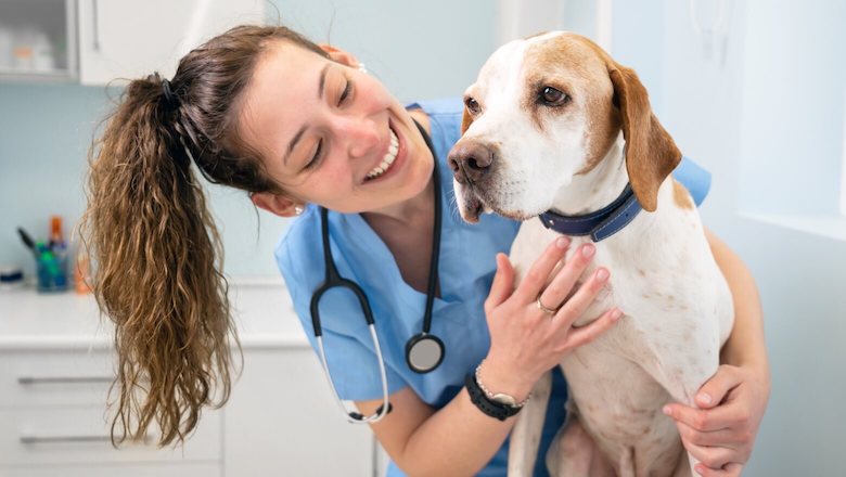How to Budget for Tuition Fees while Attending Veterinary Schools