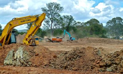 Four Effective and Efficient Ways of Clearing Land