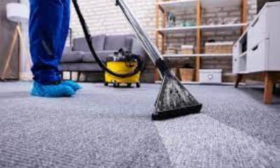 What Are the Different Types of Carpet Cleaning Services?