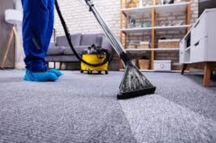 What Are the Different Types of Carpet Cleaning Services?