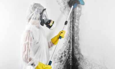 A Guide to the Mold Remediation Process
