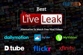 liveleak concerns about the negative impact of such content on society