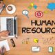 Why Do You Need an HR System Software?