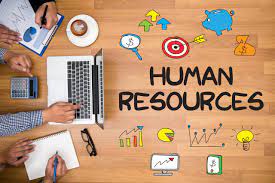 Why Do You Need an HR System Software?