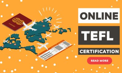 Building a Professional Portfolio of Materials for Your TEFL Certificate