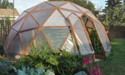 How to Build an Affordable Greenhouse for Your Home
