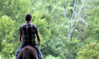 What Are the Great Benefits of Horseback Riding?