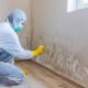 A Homeowner's Guide To Mold Removal