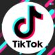 How to Download High-Quality Videos with SSS TikTok Downloader and Facebook Video Downloader?