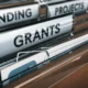 What Are the 4 Types of Grants?