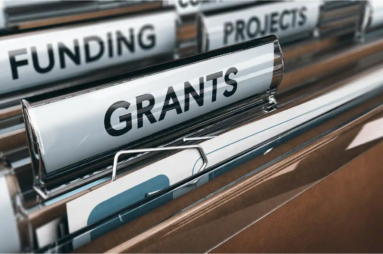 What Are the 4 Types of Grants?