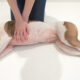Dog CPR: How to Save Your Pet’s Life