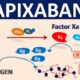 What is Eliquis (Apixaban) and How Does it Work?