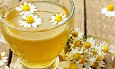 Discover the Surprising Benefits of Chamomile Organic Tea