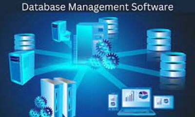Database Management and Software Development