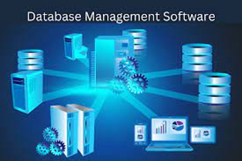 Database Management and Software Development