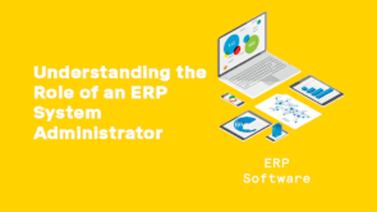Decoding the Role of ERP System Administration: Industry Experts Weigh In