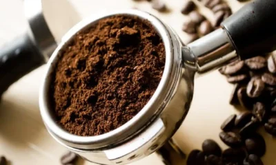 How to Choose the Best Flavors of Coffee