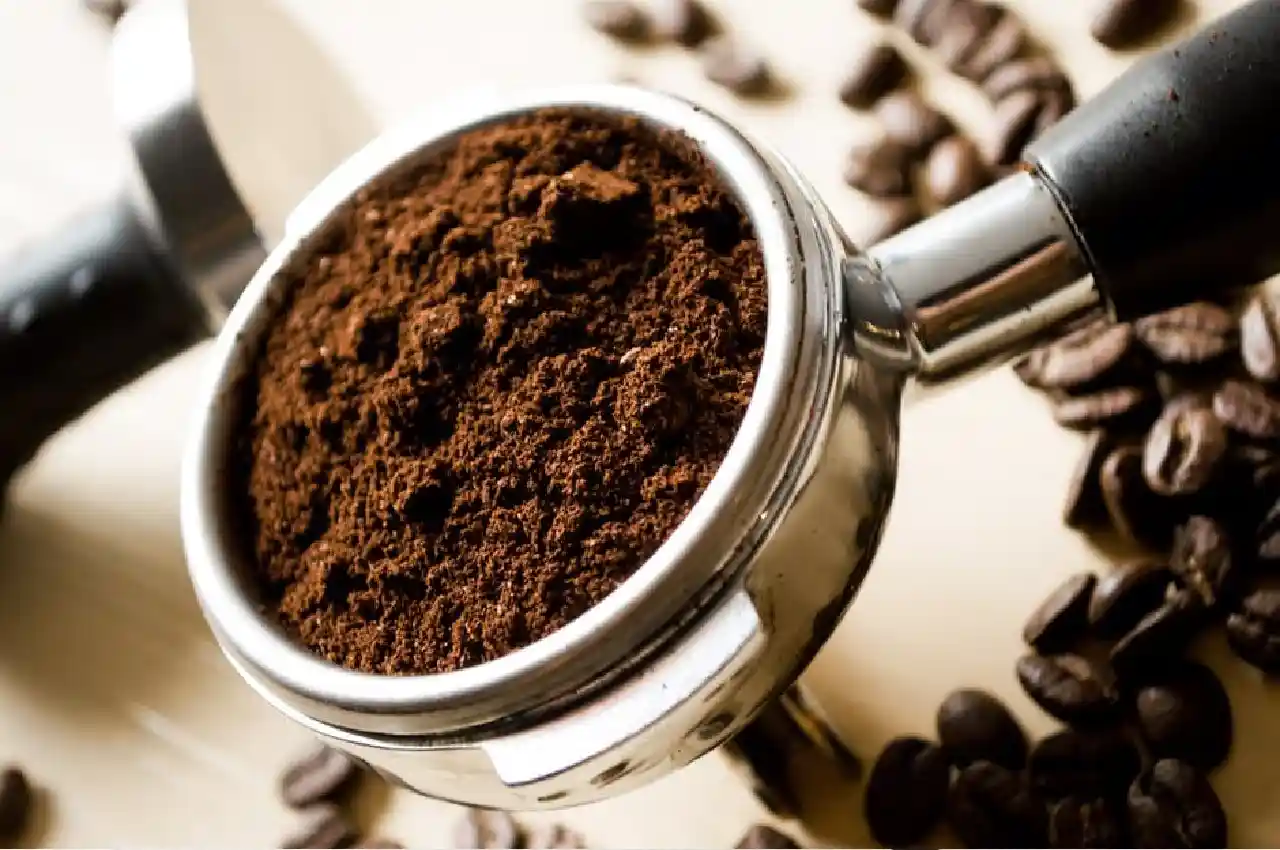 How to Choose the Best Flavors of Coffee