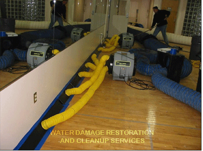 Restoring Your Home From Water Damage: The Vital Role Of Restoration Companies