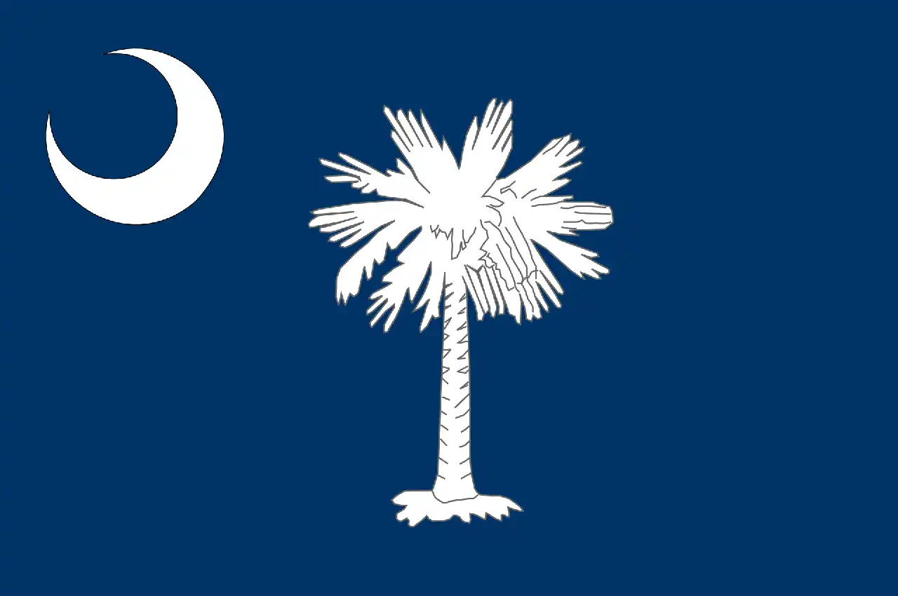History of the Columbia SC Flag