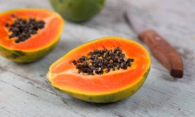 Is it Safe to Eat Raw Papaya During Pregnancy Exploring the Risks and Benefits