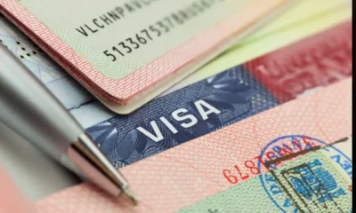 14 Tips for Getting an O-1 Visa for Freelancers