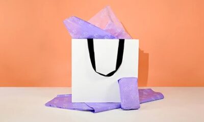 Premium Paper Gift Bags: Elevating Your Gifting Experience