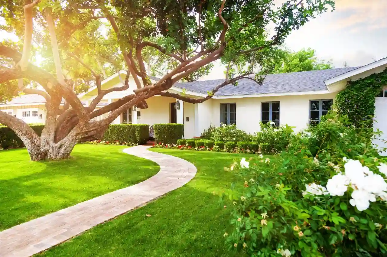 Getting Dark Green Grass: 5 Tips for Homeowners