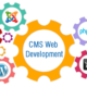 The Effectiveness of CMS Web Design – An In-depth CMS Review