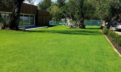Finding The Perfect Kikuyu Turf Supplier For Your Landscaping: Top Tips