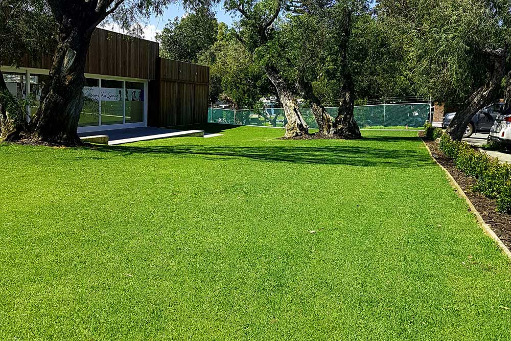 Finding The Perfect Kikuyu Turf Supplier For Your Landscaping: Top Tips