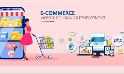 Maximizing Sales and ROI: The Art of Magento E-commerce Website Development