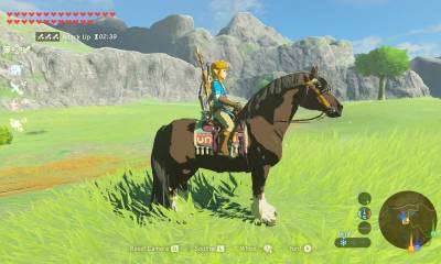 203 BOTW Horse Names to Name Your Breath Of The Wild Horse