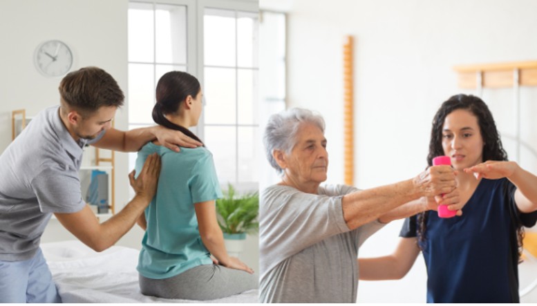 Chiropractic VS Physical Therapy: Understanding the Difference