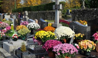 The History and Significance of Funeral Flowers Across Cultures