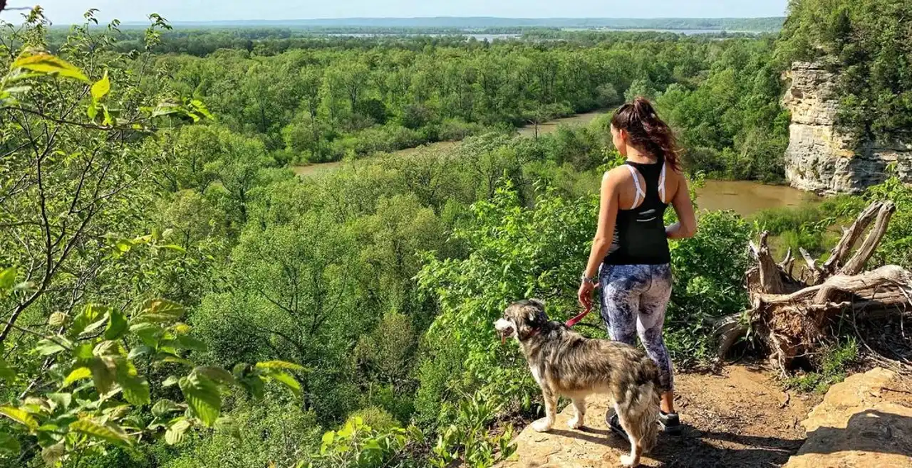 Hiking with Fido: Exploring the Best Fall Trails with Your Pup