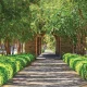 Breathe Life into Your Space: Landscape and Tree Mastery
