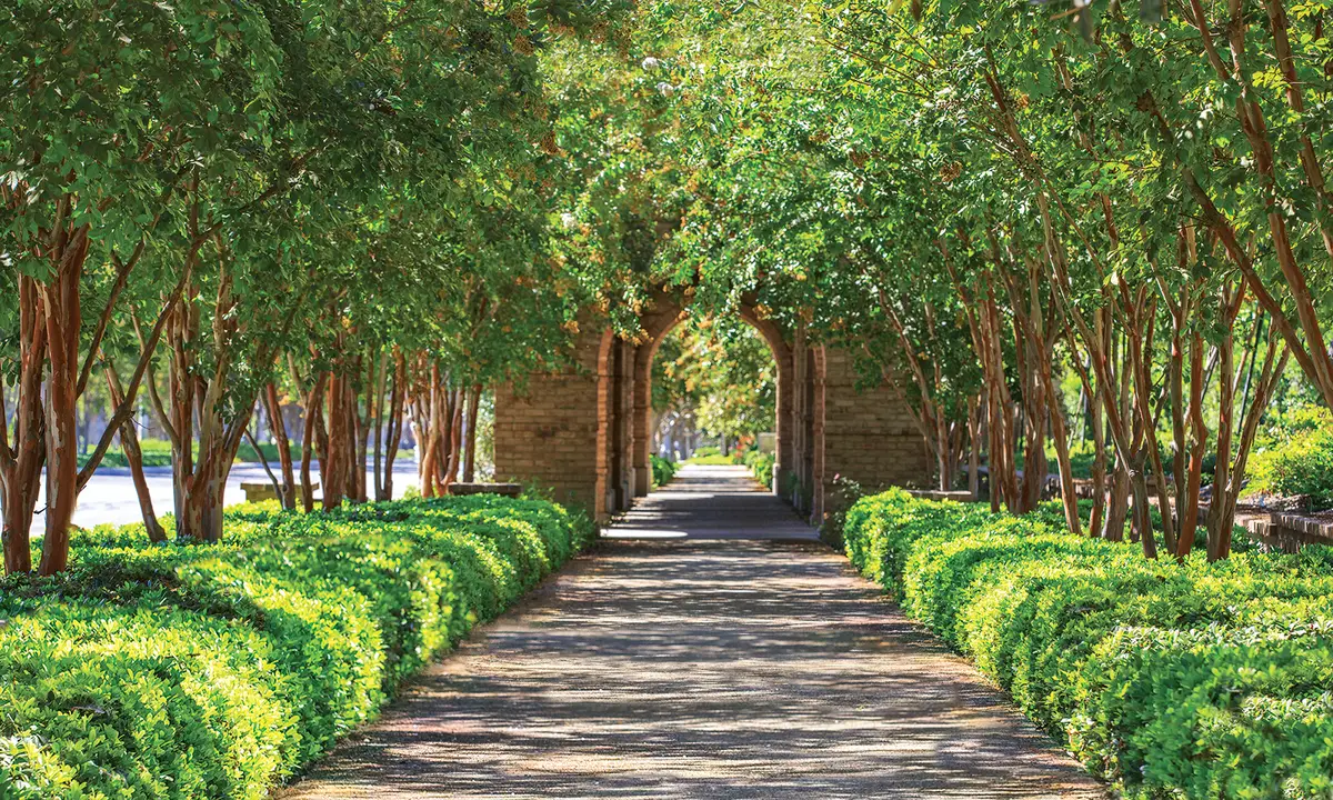 Breathe Life into Your Space: Landscape and Tree Mastery