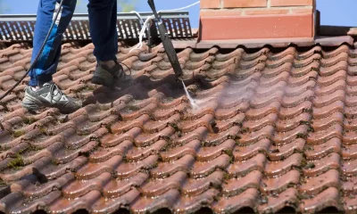 4 Reasons You Need Professional Roof Cleaning Services for Your Home