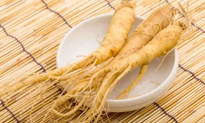 Ginseng Seeds: How to Plant, Grow, and Harvest the Perfect Crop