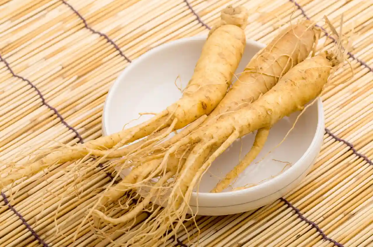 Ginseng Seeds: How to Plant, Grow, and Harvest the Perfect Crop