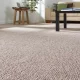 The Eco-Friendly Advantages of Wool Carpet Flooring