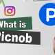 What is Picnob – Detail Features and Alternatives