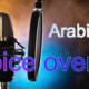 Orchestrating Excellence: The Impact of Arabic Voice Over in Diverse Spheres