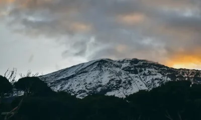 Breaking Down the Difficulty Levels: Is Kilimanjaro Hard To Climb?