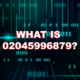 Unveiling the Power of 02045996879: A Comprehensive Guide
