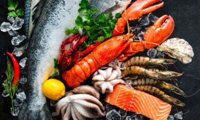 Frozen Fish and Seafood: A Cool Market Overview Market Size
