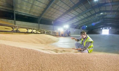 Choose the Right Grain Handling Equipment for Your Farming Business